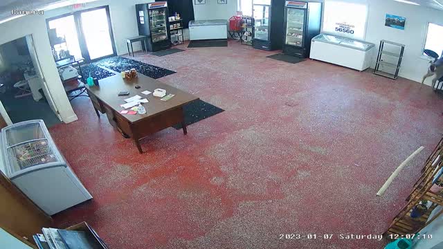 Deer Crashes Through Store