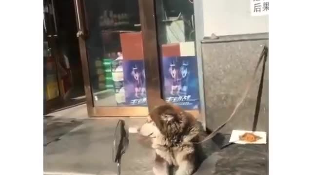 Танцор