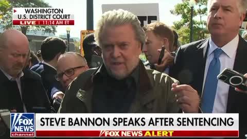 Steve Bannon 🐸🐸🐸