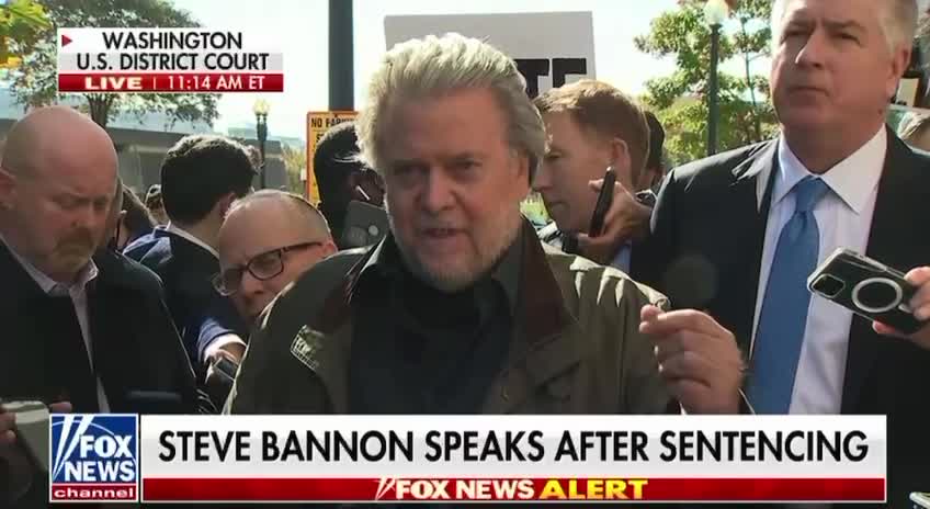 Steve Bannon 🐸🐸🐸
