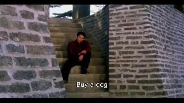 Buy A Dog - Buffalax Style with Fake Subtitles by Electricdonkey