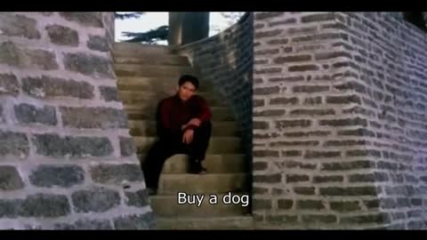 Buy A Dog - Buffalax Style with Fake Subtitles by Electricdonkey