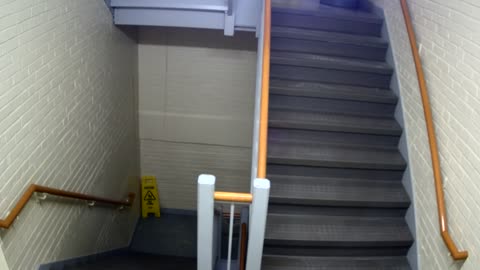 3892FHOB05Stair5_2021-01-05_04h15min33s820ms.mp4