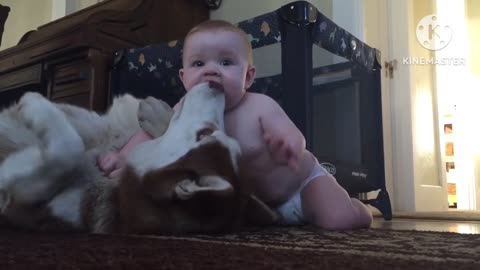 "Cuteness Overload: Hilarious Baby and Dog Duo Conquer Playtime!"