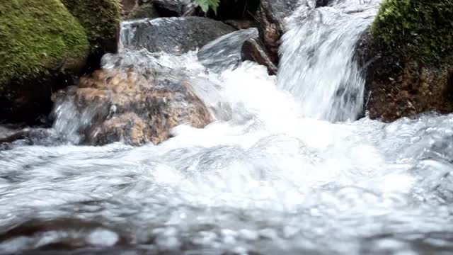 Nature