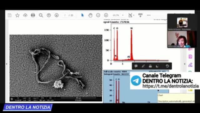 DOTT.SSA ANTONIETTA GATTI: HO ANALIZZATO AL MICROSCOPIO LA PIOGGIA