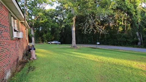 GSG Porch Report 070623