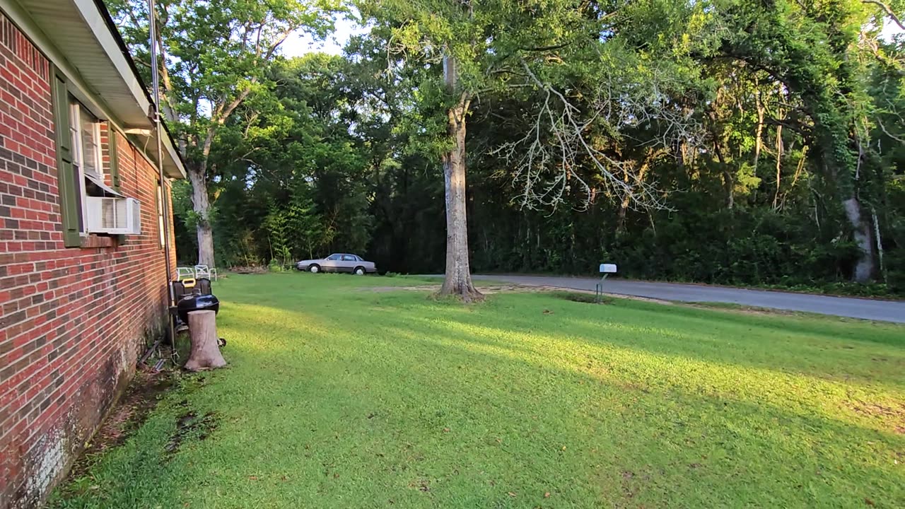 GSG Porch Report 070623