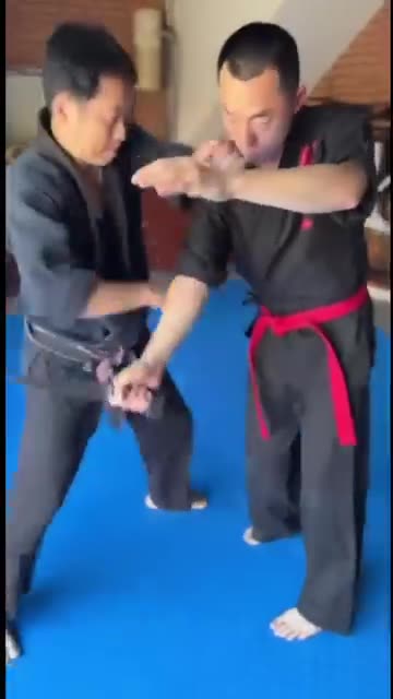 Hapkido
