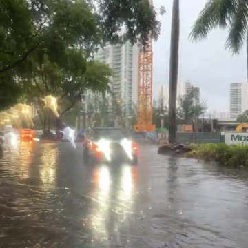 This is What Happens When Your Office is in South Florida