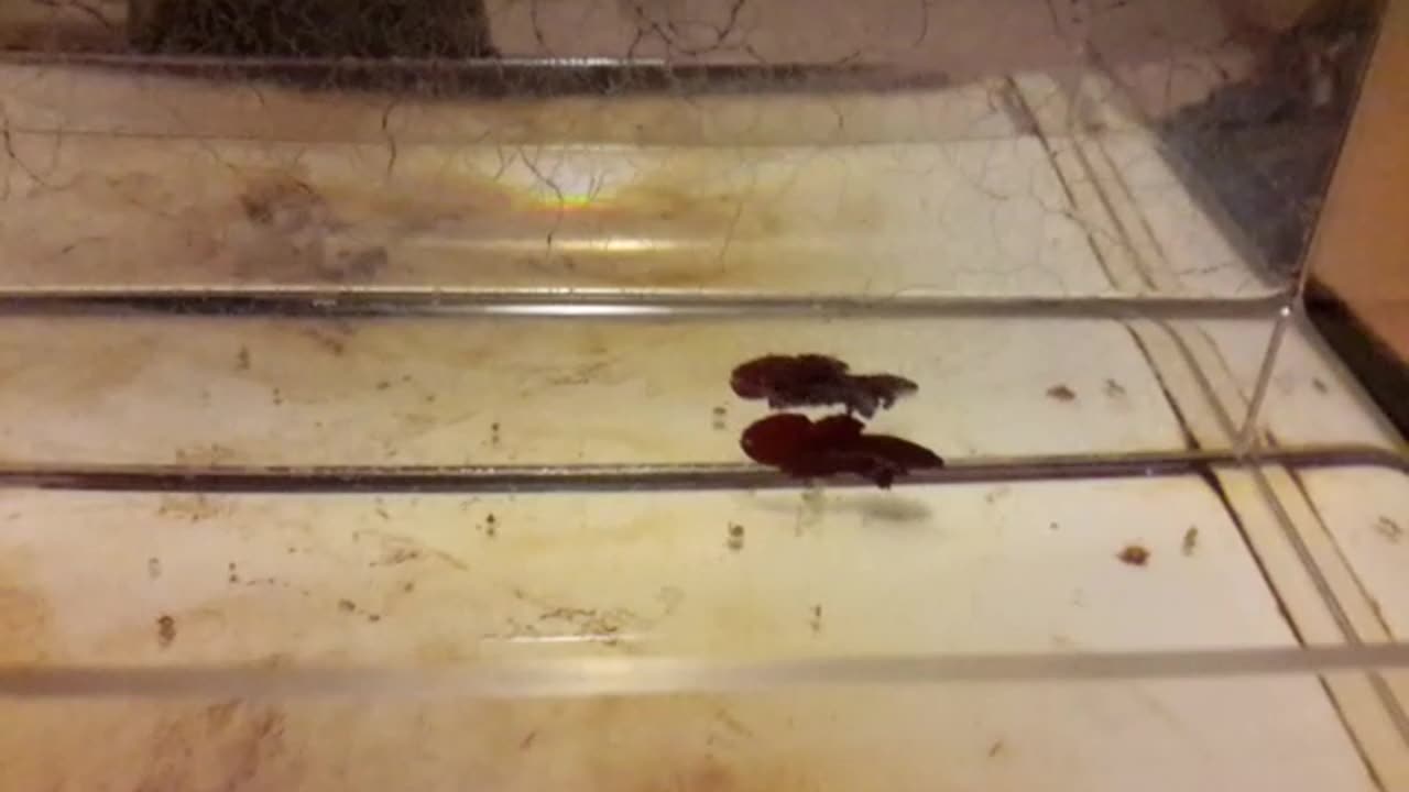 20170428_190658