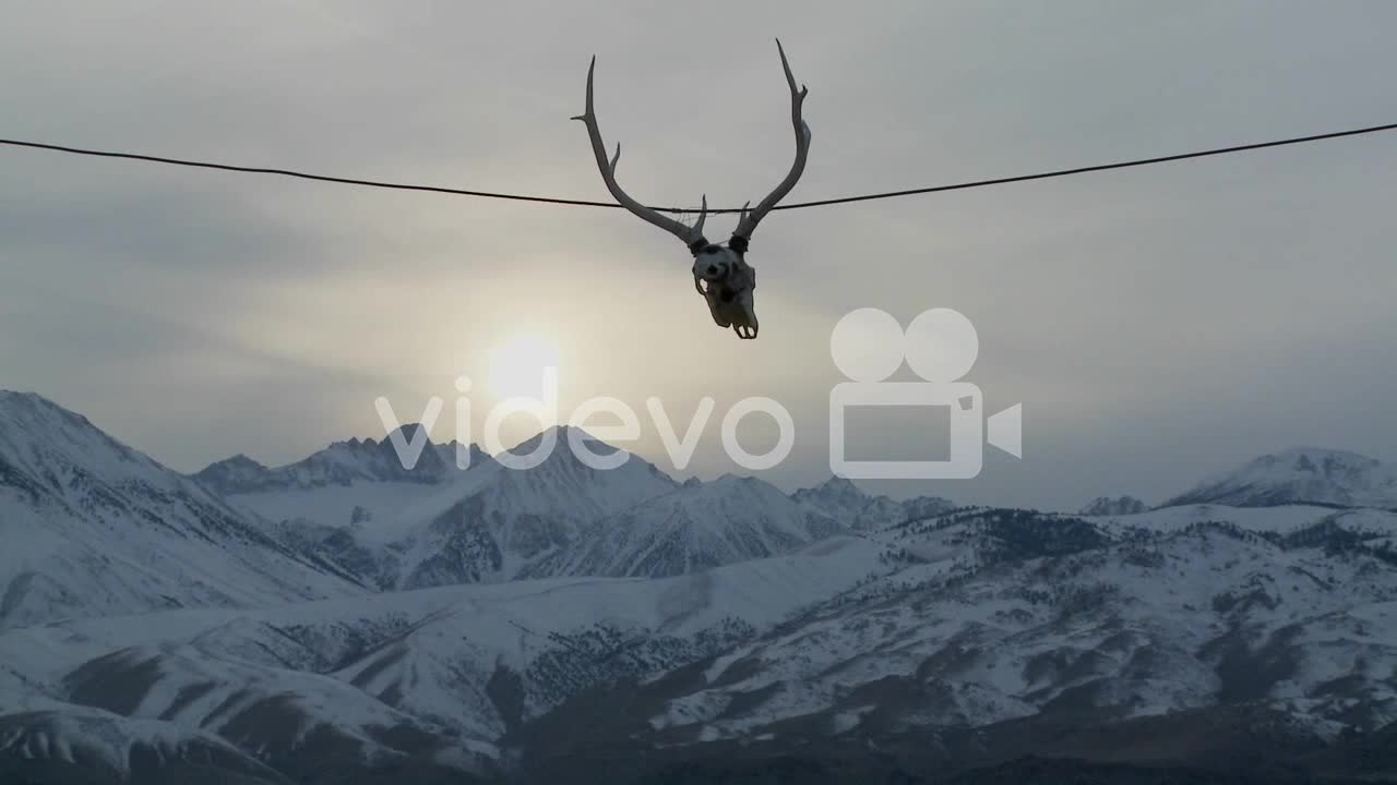 A cow skull hangs from a wire at a Western ranch