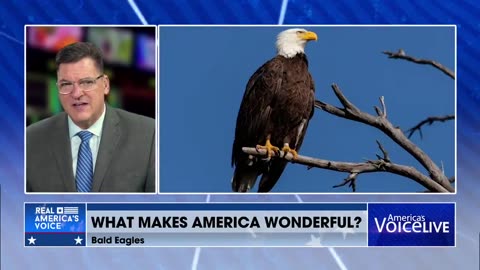 What Makes America Wonderful 🇺🇸 🦅