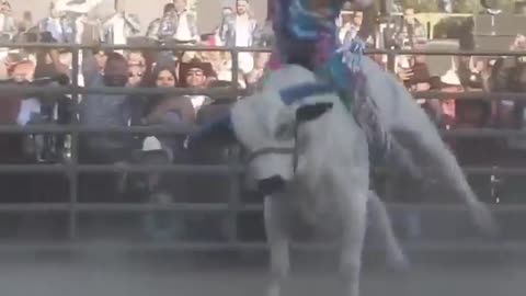 Animals and boy fight new viral shorts