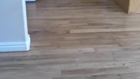 Hardwood Floor