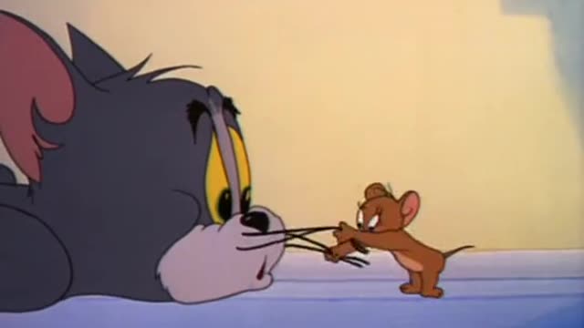 tom and Jerry ketika akur wkwk😂
