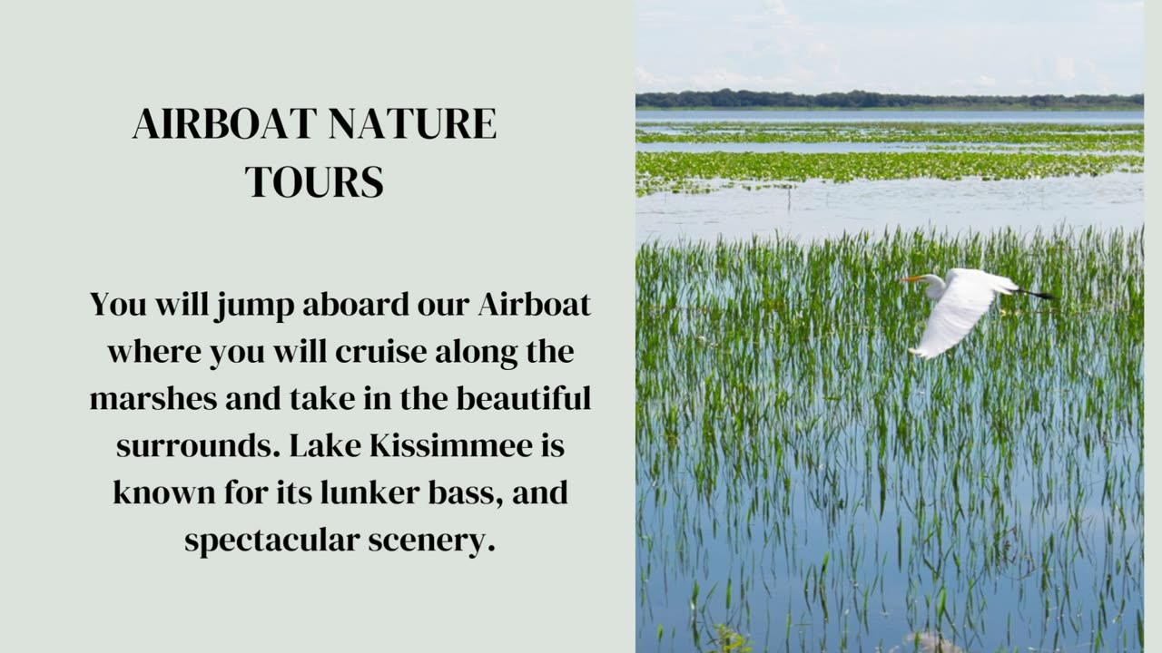 Florida Airboat Tours - Grape Hammock