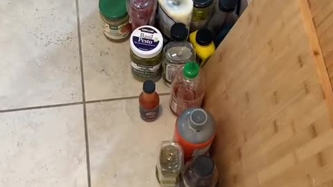 The sauce struggle is real