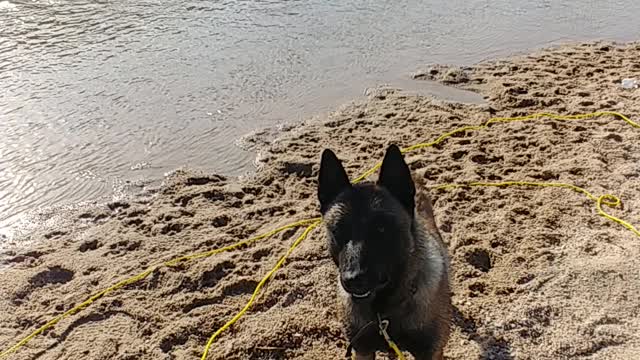 Clyde loves the water