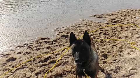 Clyde loves the water