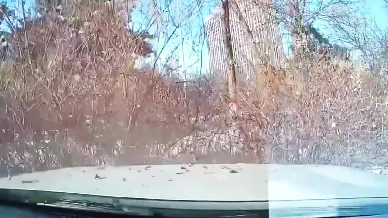 Car crash compilation #82
