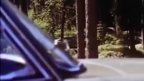 How to get a car ride