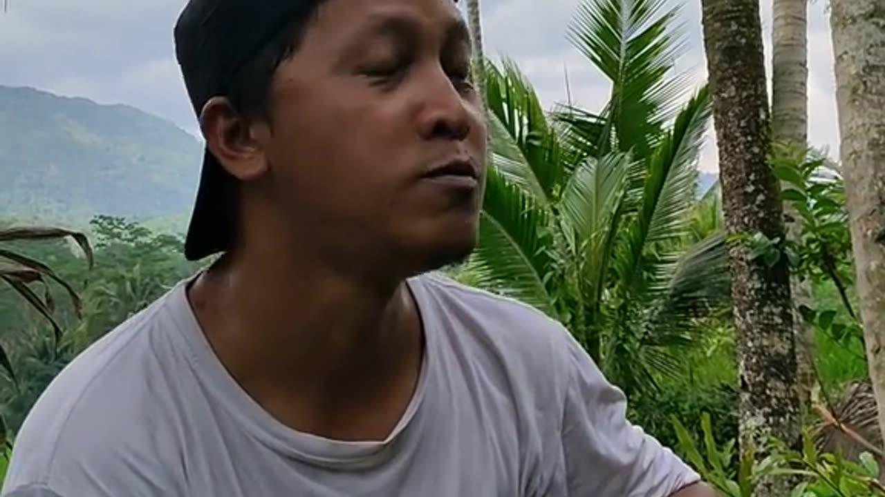 Hahu hoheng