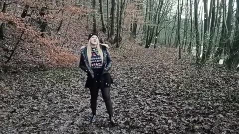 Weihnachten - Leise rieselt der Schnee - Die alten Schweden