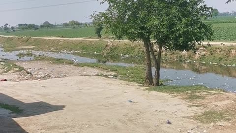 Village Life In Pakistan