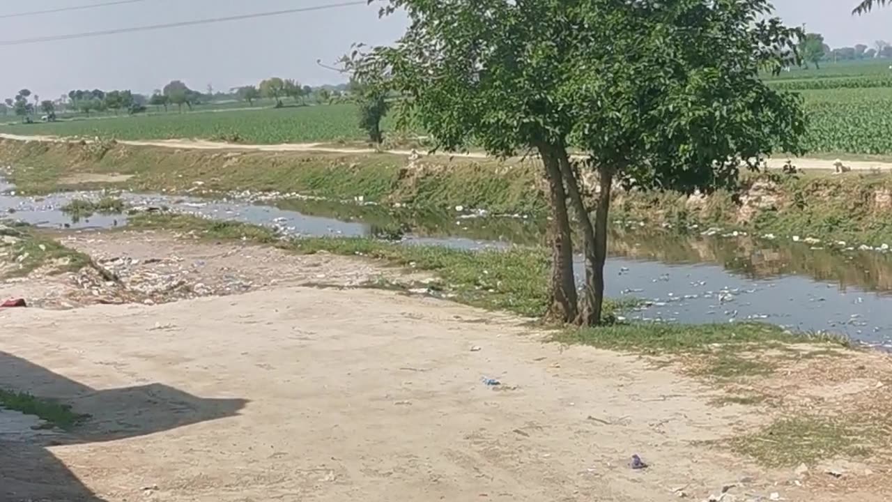 Village Life In Pakistan