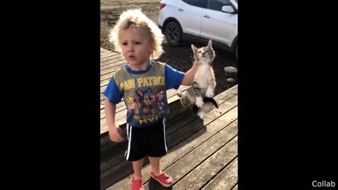 The Best Of The Internet (2023)