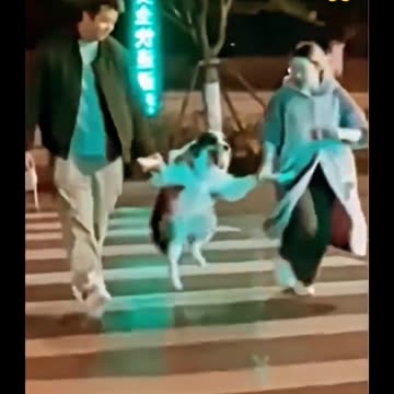 Stop overthinking... just gift yourself a dog 🐕😍