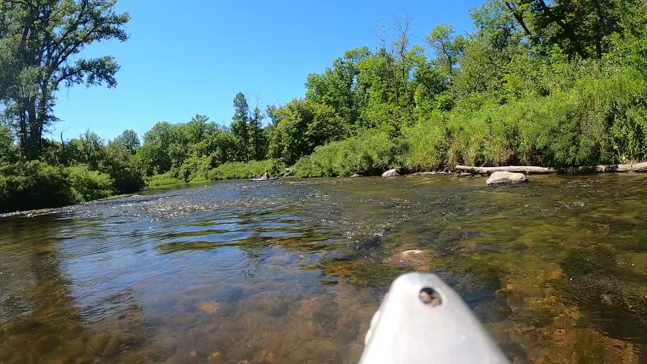 Wild Rice River Canoe Float with deer crossing