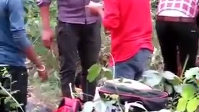 Because They Glitter