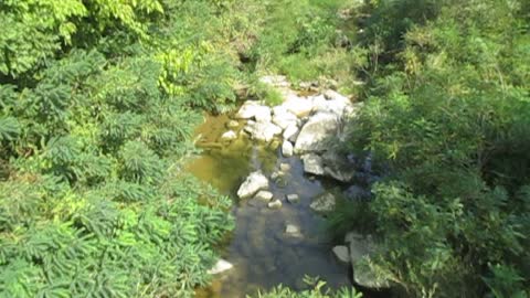 Riverside Chat