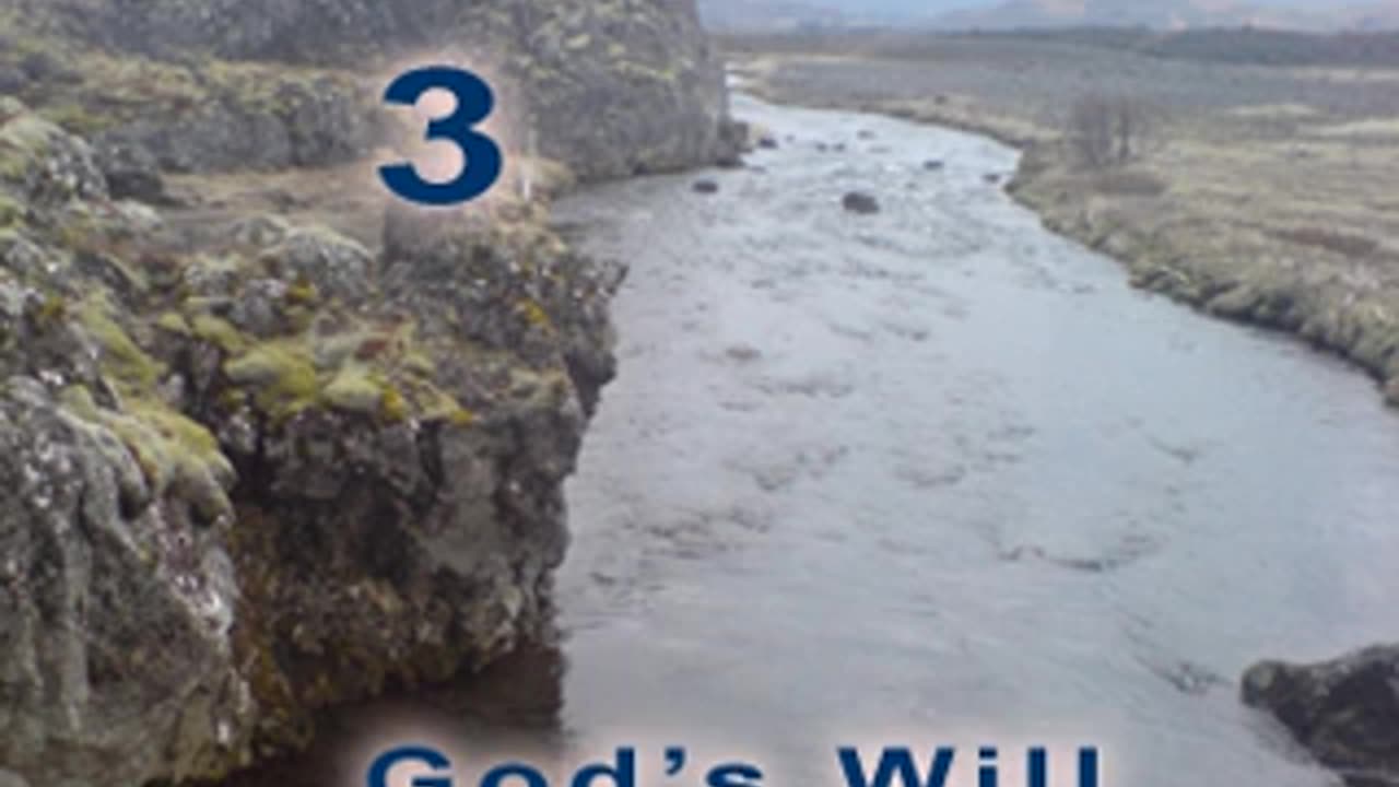 God's Will - Verse 3. Joy of life [2012]