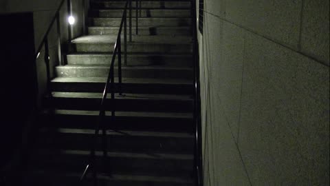 7114CVCULStair8Exterior_2021-01-05_00h08min57s197ms.mp4
