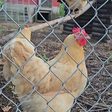 OMC! Getting intimate camera time with the ladies this day and they made some pretty noises!