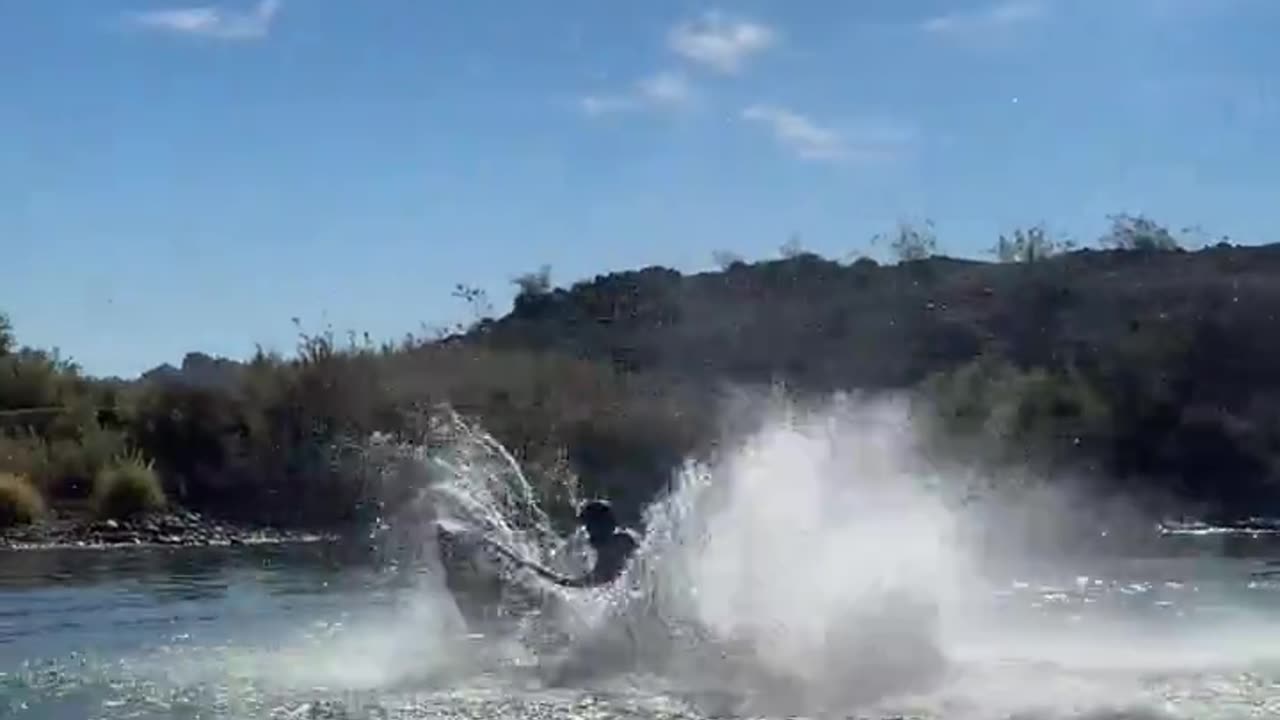 Jet Ski Master