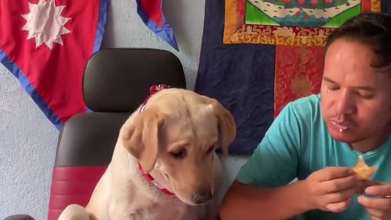 Dog a d man love