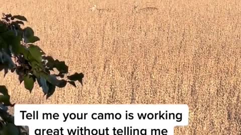 Tell me your camo is working great without telling me