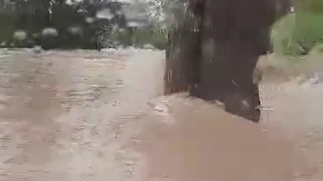 Flood Waters Too Much For Truck