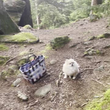 Рядом с ущельем