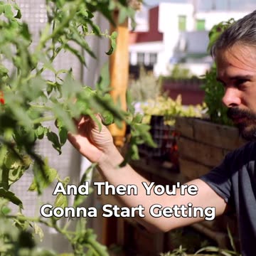 🌱🍇 Discover The Fastest Growing Crops For Your Garden! 🚀🌳