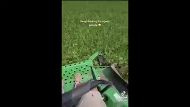 Farmers Ordered to Destroy Crops