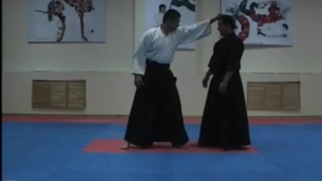 Combat Aikido