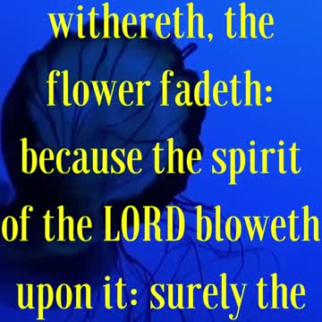 The grass withereth, the flower fadeth: because the spirit of the LORD bloweth upon it...