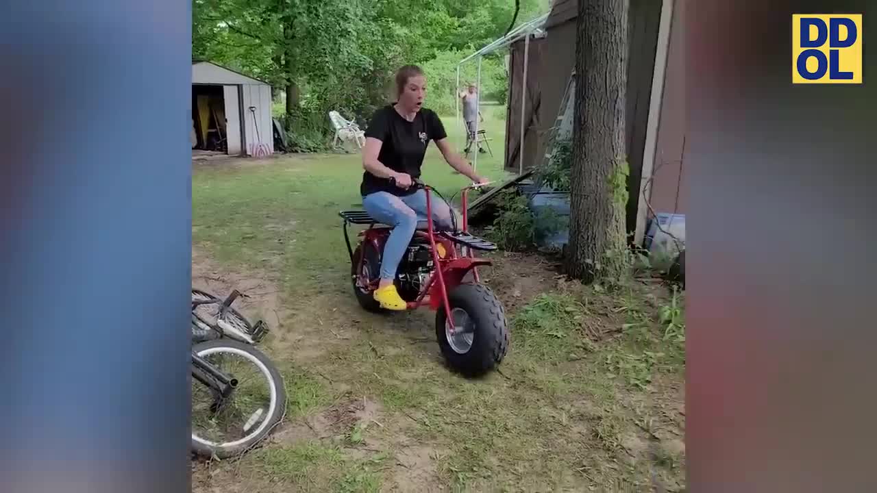 Funniest video compilation