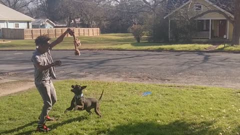 Dog lesson