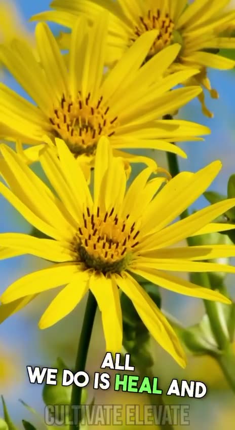 How the Rockefellers Defunded Natural Healing